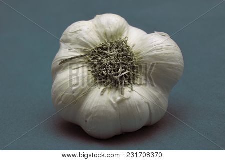 Allium Sativum Garlic Clove On A Grey Background