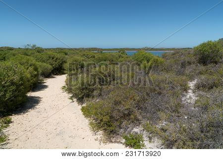 Trekking Trail Close To Lake Thetis In The Nambung National Park, Western Australia