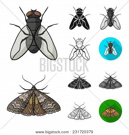 Different Kinds Of Insects Cartoon, Black, Flat, Monochrome, Outline Icons In Set Collection For Des