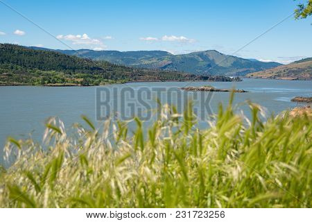 Columbia River As Seen From A Grassy Hilltop.