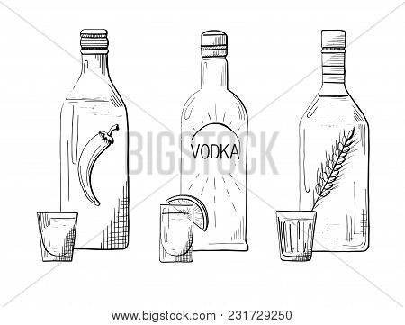 Sketch Three Different Bottles Of Vodka. Pepper, Classical And Wheat. Vector Illustration