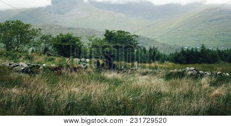 Kerry Mountains And Surrounding Areas In County Kerry. Old Dry Wall In The Abandoned Field. A Scenic