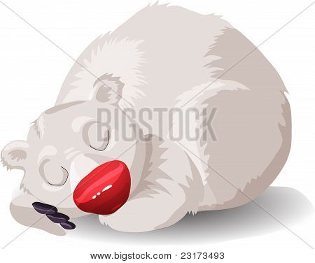Couchage ours blanc