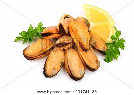 Mussel With Parsley Leaf And Lemon Isolated On White Background.
