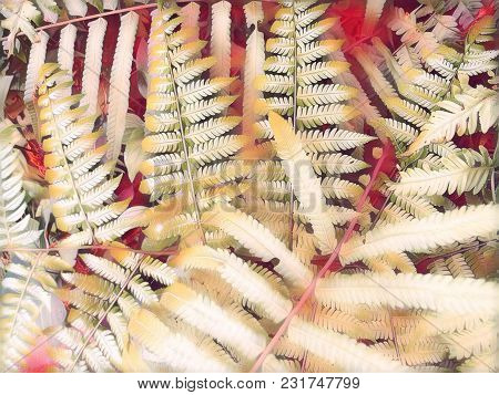 Pink Fern Leaf Digital Illustration. Faded Fern Leaf. Romantic Floral Background. Summer Trip Poster