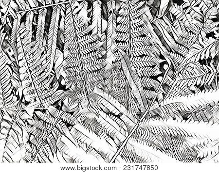 Black And White Fern Leaf Digital Illustration. Fern Leaf Carpet. Abstract Floral Background. Summer