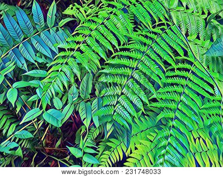 Green Fern Leaf Digital Illustration. Fresh Fern Leaf. Bright Floral Background. Summer Trip Poster.