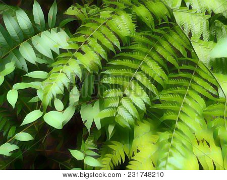 Blurred Fern Leaf Digital Illustration. Green Fern Leaf. Fresh Floral Background. Summer Trip Poster