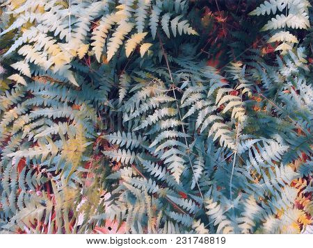 Fern Leaf Retro Digital Illustration. Blue Green Tropical Leaf. Floral Wedding Background. Summer Fo