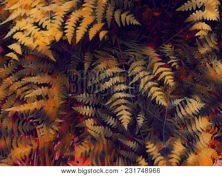 Golden Fern Leaf Digital Illustration. Orange Toned Tropical Leaf. Floral Wedding Background. Autumn