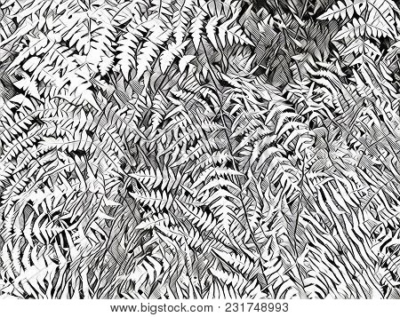 Black And White Fern Leaf Digital Illustration. Sketched Floral Background. Summer Trip Poster. Fern