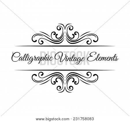 Calligraphic Design Elements. Vintage Vector Ornaments Decorations Design Elements. Flourishes Calli