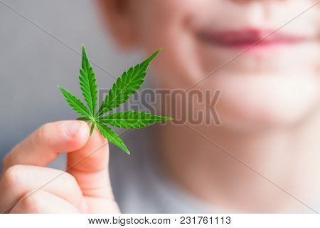 Smiling Kid Child Holding A Hemp Leaf. Concepts Of Using Marihuna For Medicinal Purposes For Childre