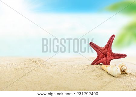 Vacation Concept Image - Shells And Starfish On A Sandy Tropical Beach In Closeup
