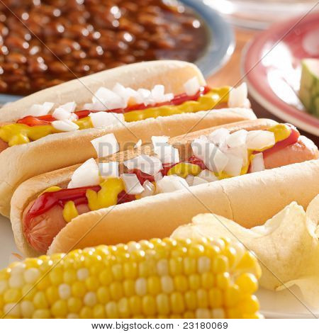 hot dog jídlo s cibulí, kečupem a hořčicí jako zálivka