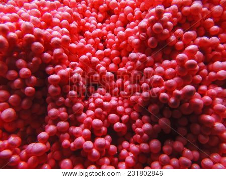 Beautiful Colorful Of Plastic Foam Close Up Soft Focus Background
