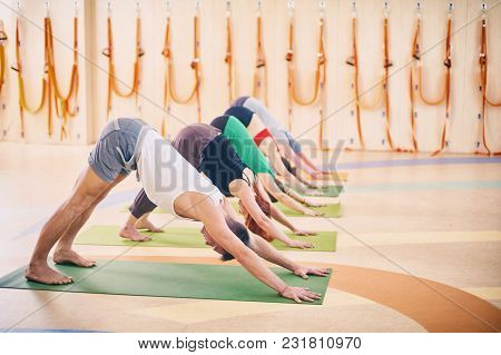 Group Of People Doing Yoga Downward Facing Dog Pose - Adho Mukha Svanasana On Mats At Studio