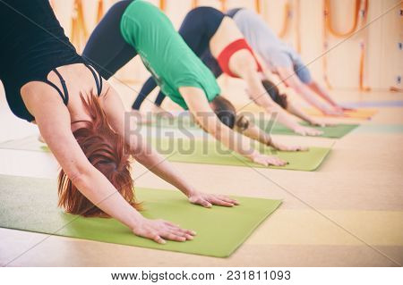 Group Of People Doing Yoga Downward Facing Dog Pose - Adho Mukha Svanasana On Mats At Studio