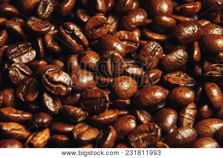 Coffee Beans Macro Photo, Coffee Wallpaper Closeup