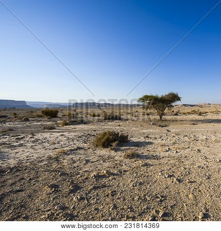 Rocky Hills Of The Negev Desert In Israel. Breathtaking Landscape And Nature Of The Middle East.