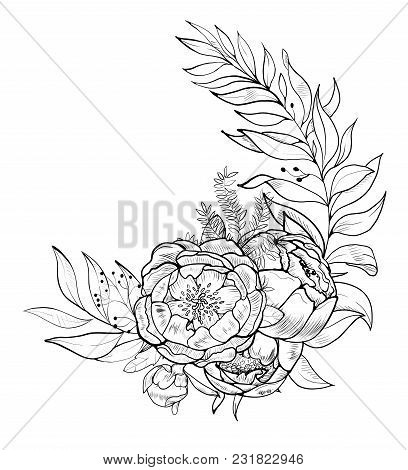 Hand Drawing And Sketch Peony Flower. Black And White With Line Art Illustration.