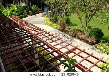 Battens Made For Roof To Protect Sunshine, Prepared For Planting Some Ivy