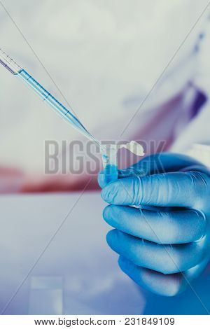 Scientist Holds Eppendorf Tube And Pipette. Focus On Test Tube