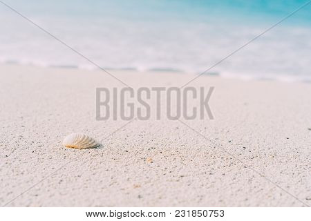 Seashell On Sandy Beach With Defokused White Foam Of Rolling Ocean Waves In Background. Tropical Bea
