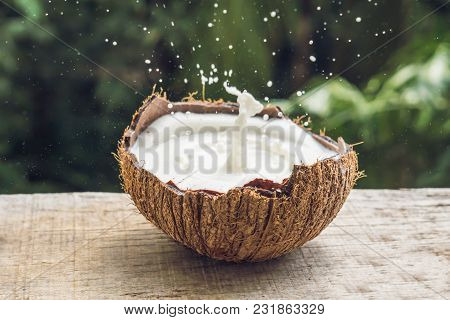 Coconut Fruit And Milk Splash Inside It On A Background Of A Palm Tree.