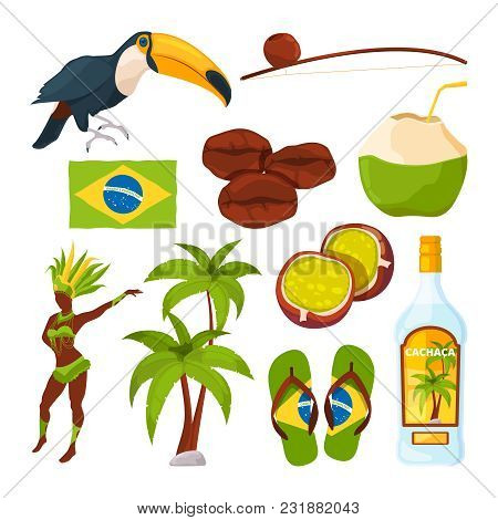 Vector Collection Of Different Brazilian Symbols. Brazilian Palm And Carnival Woman, Toucan And Cock