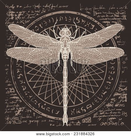 Illustration Of A Dragonfly On An Abstract Background Of Old Papyrus Or A Manuscript With Spots, Cir