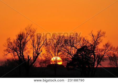 Coucher de soleil au-delà des arbres