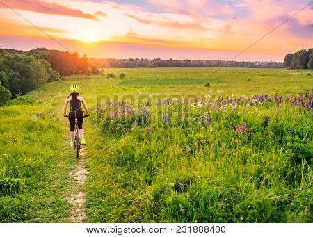 Young Sporty Woman Riding A Bicycle At Sunset. Sporty Girl Goin Downhill On Bike Among The Field Of 