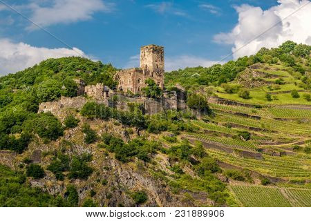 Gutenfels (Caub) Castle and vineyards at Rhine Valley (Rhine Gorge) near Kaub, Germany. Built in 1220.