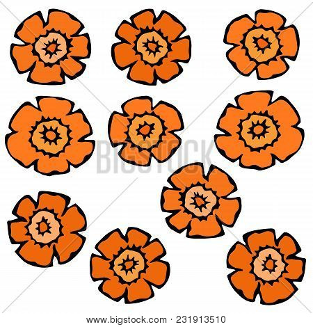 Carrot Figure Knife Cuts. Flower Shaped Slices Of Carrots. Carved Cooking Ingredient, Vegetable Sala