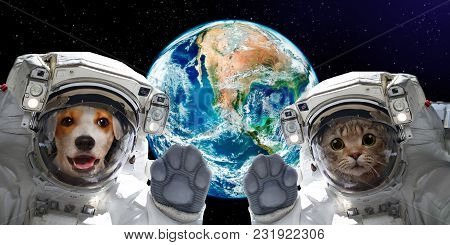 Cat And Dog Astronauts On The Background Of The Globe. Elements Of This Image Furnished By Nasa.