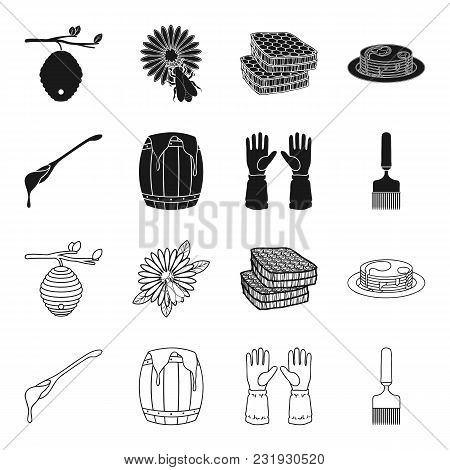 A Spoon Of Honey, Protective Gloves, A Barrel Of Honey, A Fork.apiary Set Collection Icons In Black,