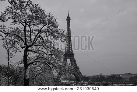 Paris, France : Black And White Eiffel Tower With Bare Trees In Winter.