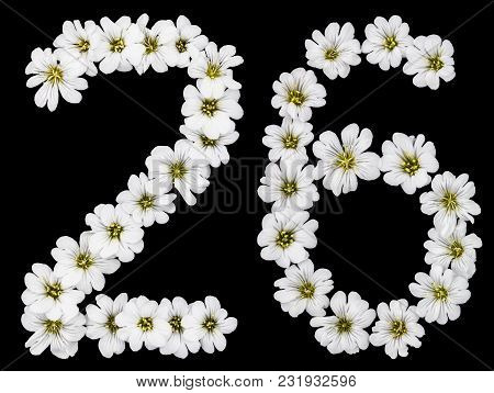 Arabic Numeral 26, Twenty Six, Twenty, Two, Six, From White Flowers Of Cerastium Tomentosum, Isolate