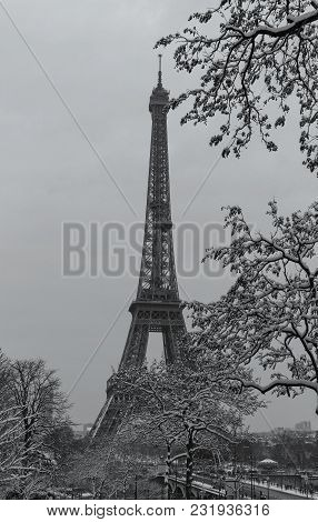 Paris, France : Black And White Eiffel Tower With Bare Trees In Winter.