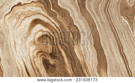 Texture Of Roots Of Tree With Wavy Lines And Age Rings. Abstract Background.