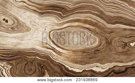 Texture Of Roots Of Tree With Wavy Lines And Age Rings. Abstract Background.2d Illustration