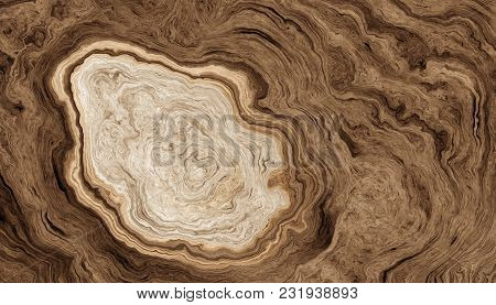 Texture Of Roots Of Tree With Wavy Lines And Age Rings. Abstract Background. 2d Illustration