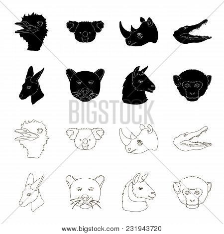 Kangaroos, Llama, Monkey, Panther, Realistic Animals Set Collection Icons In Black, Outline Style Ve