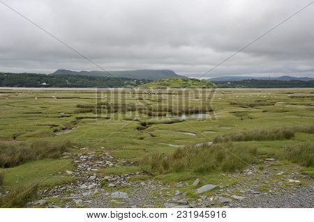 Dwyryd Estuary
