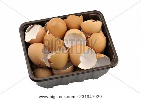Kitchen Waste