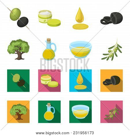 An Olive Tree, A Branch With Olives, A Vessel And A Jug Of Oil. Olives Set Collection Icons In Carto