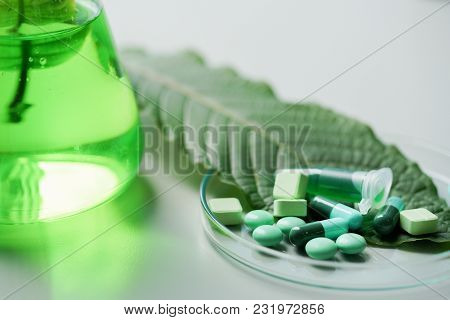 Mitragyna Speciosa Korth (kratom) Drug Plant With Pills In The Laboratory Research.