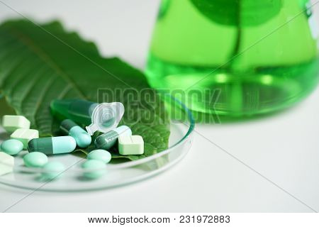 Mitragyna Speciosa Korth (kratom) Drug Plant With Pills In The Laboratory Research.