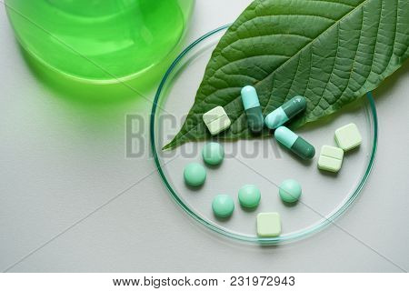 Mitragyna Speciosa Korth (kratom) Drug Plant With Pills In The Laboratory Research.
